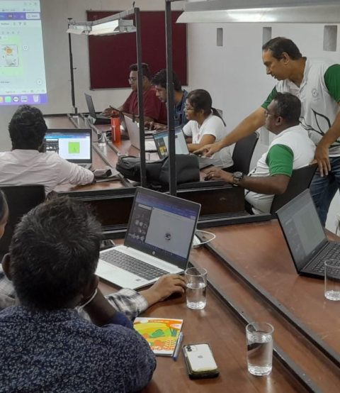 Digital Marketing for Tea